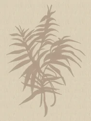 Plant Neutral