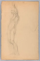 Anatomical Study of Male, ca. 1850