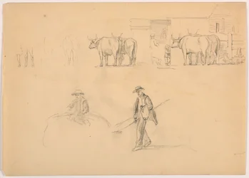 Barnyard; Figures and Oxen, 1878