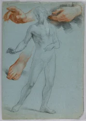 Male Nude Standing, September 1858