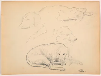 Milo (a Pointer), Several Studies, ca. 1862