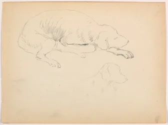 Milo (a Pointer), Two Studies, ca. 1862
