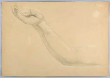 Study for Duplicate of 