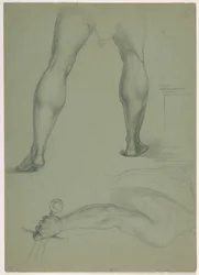 Two Anatomical Studies, ca. 1850