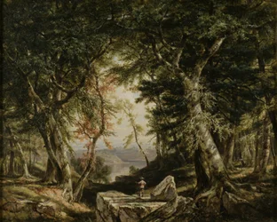 Glimpses from the Forest
