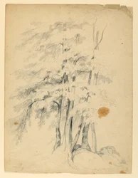Study of Black Birches