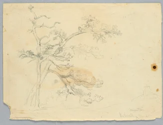 Study of Two Pines, Catskill Mountains