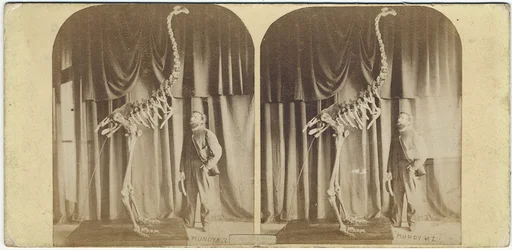 Julius von Haast and Moa, Canterbury Museum, c.1867