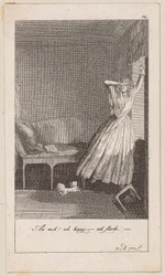 Plate 12 for Blumauer