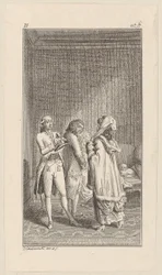 Doctor Flink Before Lady Sophister
