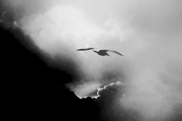 Dramatic Sky Flight