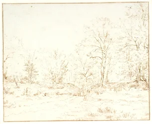 A Forest Road