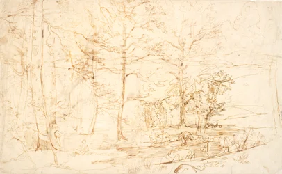 View from a Forest over Heath and Hills
