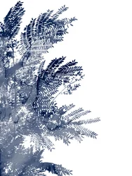 Blue Leaf Canopy
