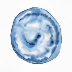 Fluid Indigo Swirl