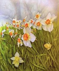 Dancing Daffodils, 2020