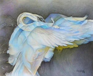 Taking Flight
