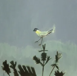 Strange Bird Alighting
