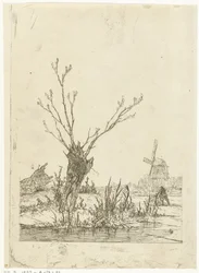 Winter Landscape