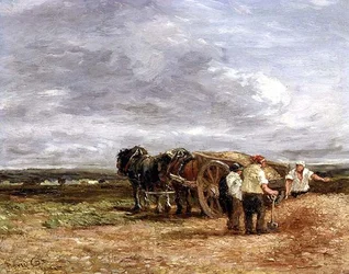 Carting Shingle