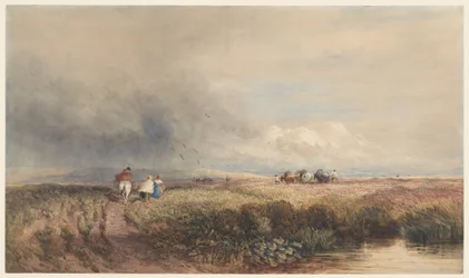 Journey Home