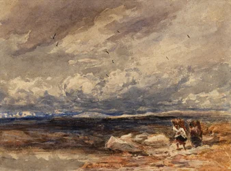 On Carrington Moss