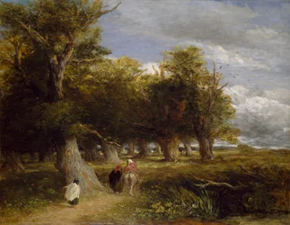 Skirts of the Forest