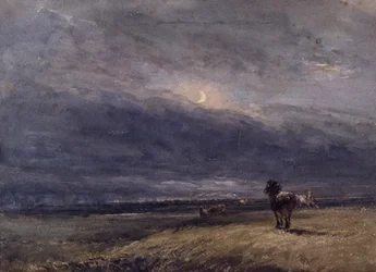 The Night Train