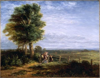 The Skylark