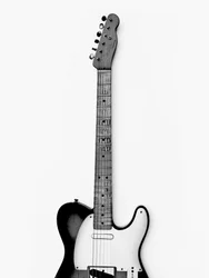 Monochrome Electric Guitar