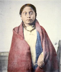 Crow Foot (coloured photo)
