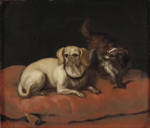 Two Dogs