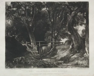 Various Subjects of Landscape, Characteristic of English Scenery from Pictures Painted by John Constable, R.A.: Dell in the Woods of Helmingham Park, Suffolk