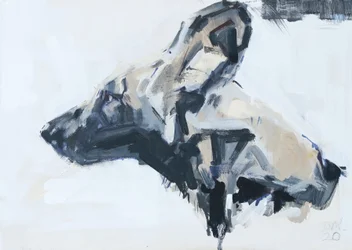 African Wild Dog Portrait