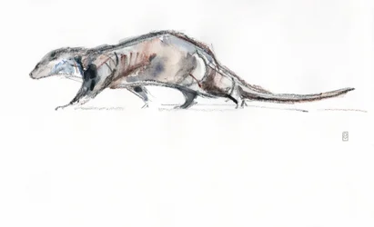 Otter Running, 2022