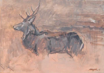 Red Deer Stag, 2023