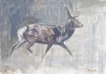 Red Deer Stag Running, 2023