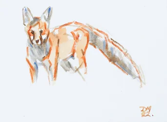 Red Fox, 2022