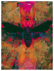 Death Moth Collage