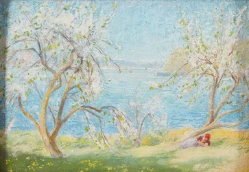 Spring Sunshine