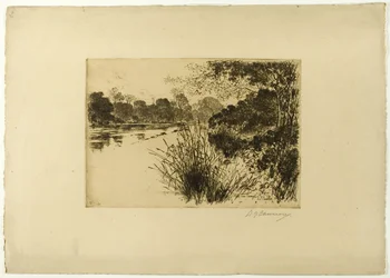 The Clyde Near Carmyle