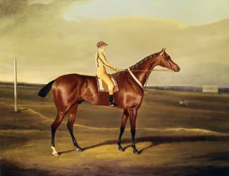 The Hon. Robert Grosvenor