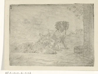 Two Dogs