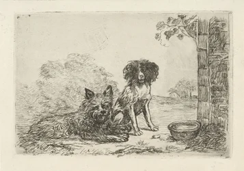 Two Dogs