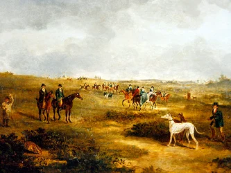 Hare Coursing