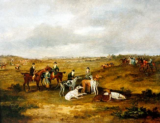 Hare coursing