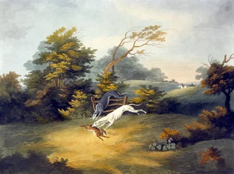 Coursing, plate 4, engraved by R.G. Reeve
