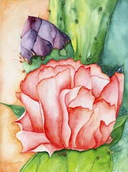 Desert Bloom, 2007