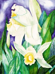 Night Orchids, 2007