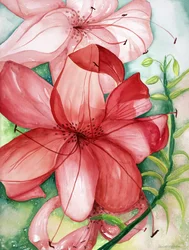 Tigerlily, 2007